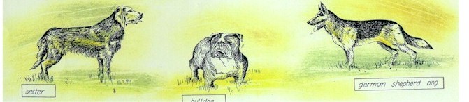 Belgium cartoon, dogs