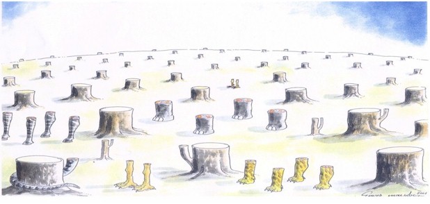 woods.JPG (43899 �Ӧ줸��)